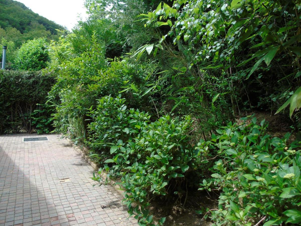Maison L'Hirondelle Rustique A Tournavaux ภายนอก รูปภาพ