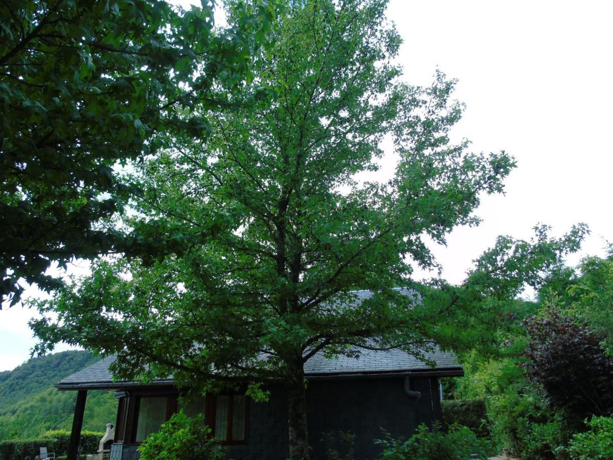 Maison L'Hirondelle Rustique A Tournavaux ภายนอก รูปภาพ